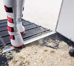 DSC_1019 horse loading