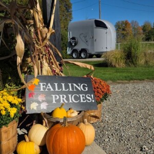Maple Lane Fall Sale
