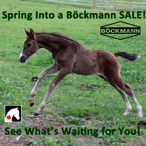 Call or Click to reserve your trailer. Parking lot pick-ups for trailers. Parts (brakes, wheels etc) can be shipped or curb-side pick-up.